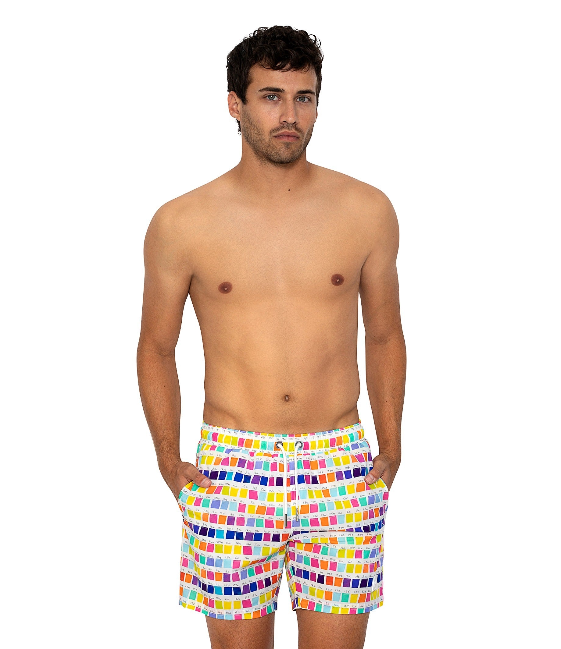 MONDRIAN SWIMSUIT
